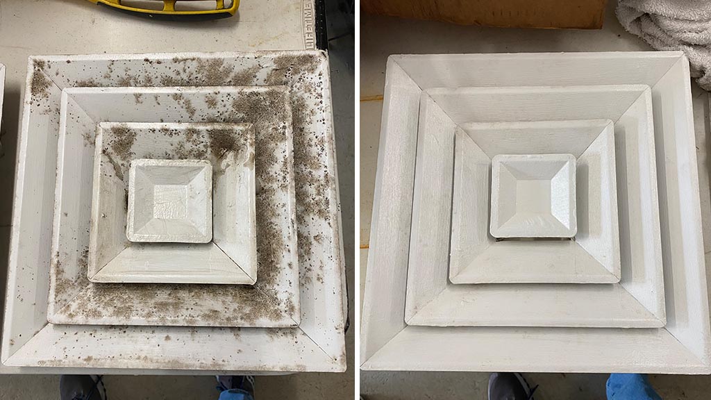 Mold Remediation